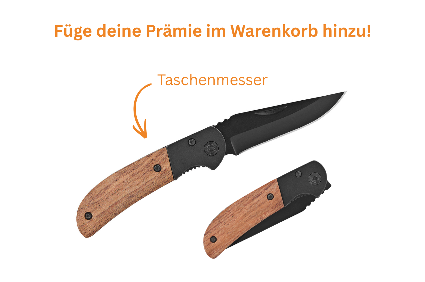 Forstzeitung Digital
